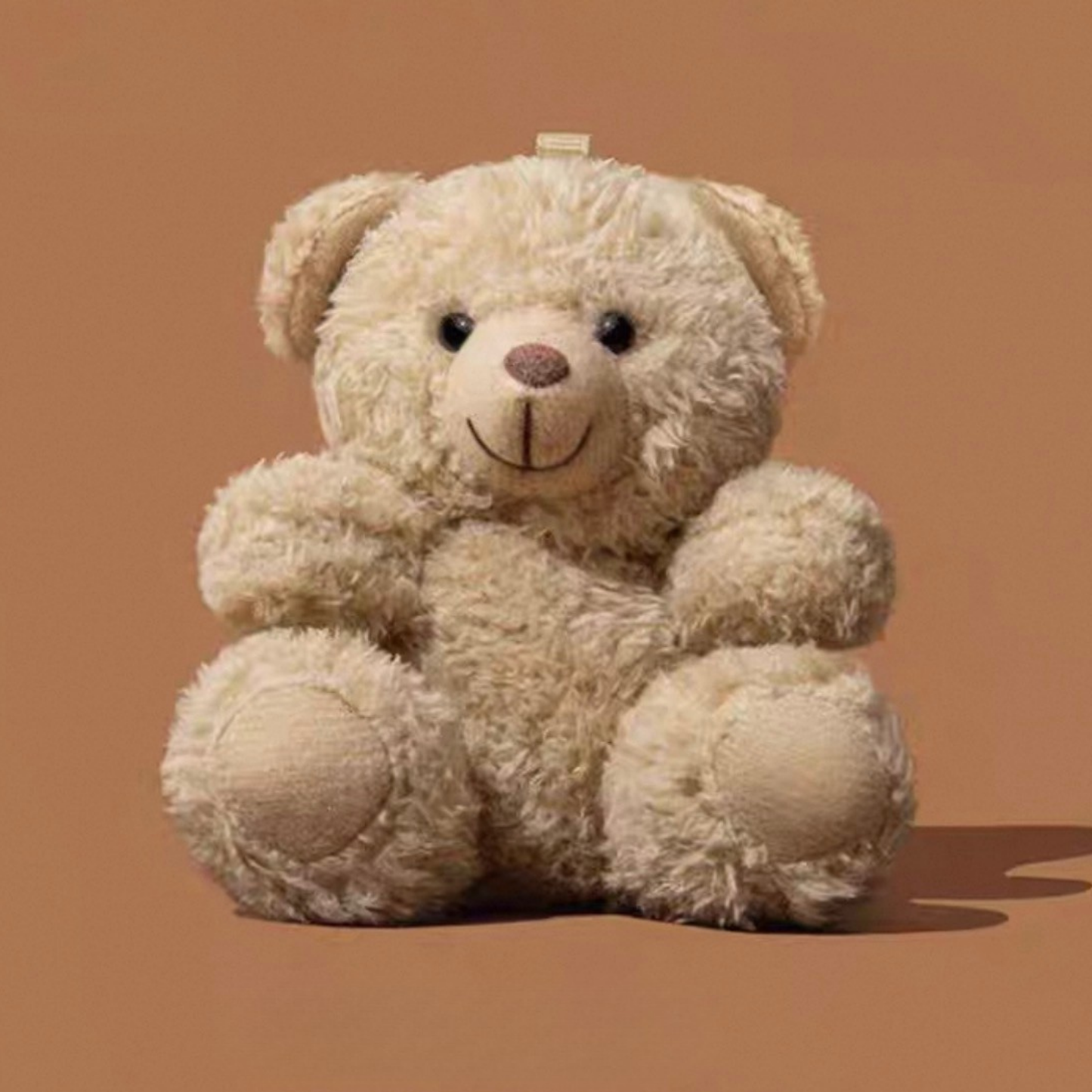 Cute Bear Airpods Case