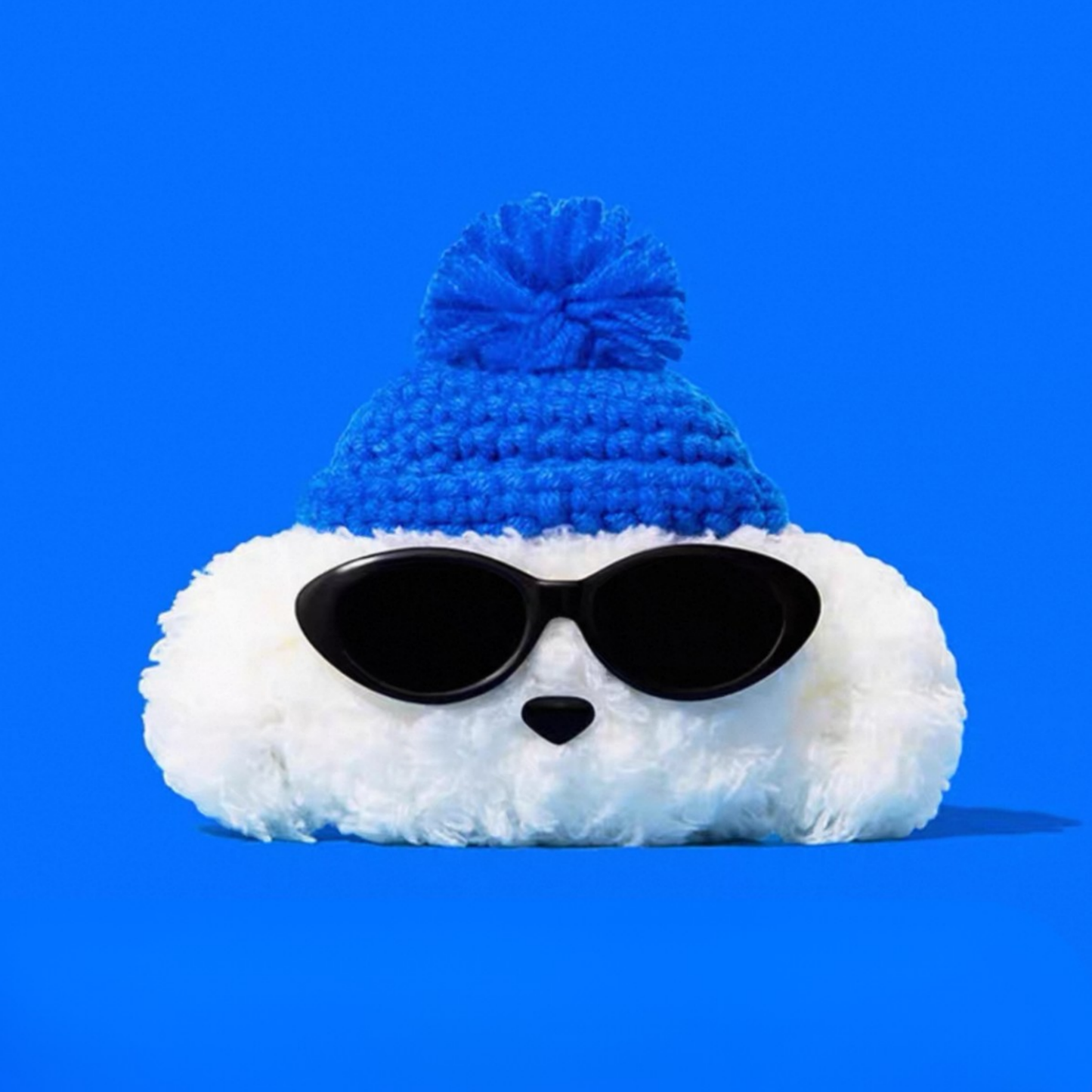 Cool Poodle Airpods Case
